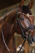 Bild in Galerie-Betrachter laden, Anatomische Softleder Trense Dublin braun mit Messingbeschlägen von der Marke Ascot Reitsportartikel.