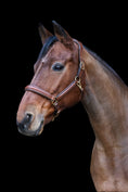 Load image into Gallery viewer, Leather halter with snake look