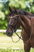 Bild in Galerie-Betrachter laden, Anatomische Softleder Trense Dublin braun mit Messingbeschlägen von der Marke Ascot Reitsportartikel.