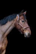Load image into Gallery viewer, Leather halter with snake look