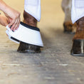 Load image into Gallery viewer, Weiße Hufglocke mit stoßdämpfendem Neopren Rand und doppeltem Klettverschluss von der Marke Ascot Reitsportartikel.