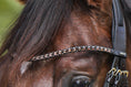 Load image into Gallery viewer, brown slim browband, single colour (No. 106.)