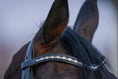 Load image into Gallery viewer, Shimmer Browband (No. 16)