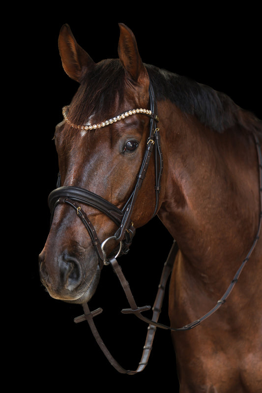 Anatomische Softleder Trense Dublin braun mit Messingbeschlägen von der Marke Ascot Reitsportartikel.