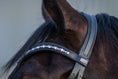 Load image into Gallery viewer, Shimmer Browband (No. 16)