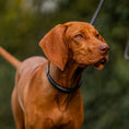 Load image into Gallery viewer, Lederhundehalsband rundgenäht