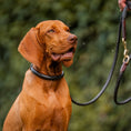 Load image into Gallery viewer, Lederhundehalsband rundgenäht