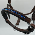 Load image into Gallery viewer, Lederhalfter mit innenliegenden Strasssteinen für Shettys braun/ blau von der Marke Ascot Reitsportartikel.