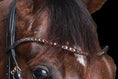 Load image into Gallery viewer, brown slim browband, single colour (No. 106.)