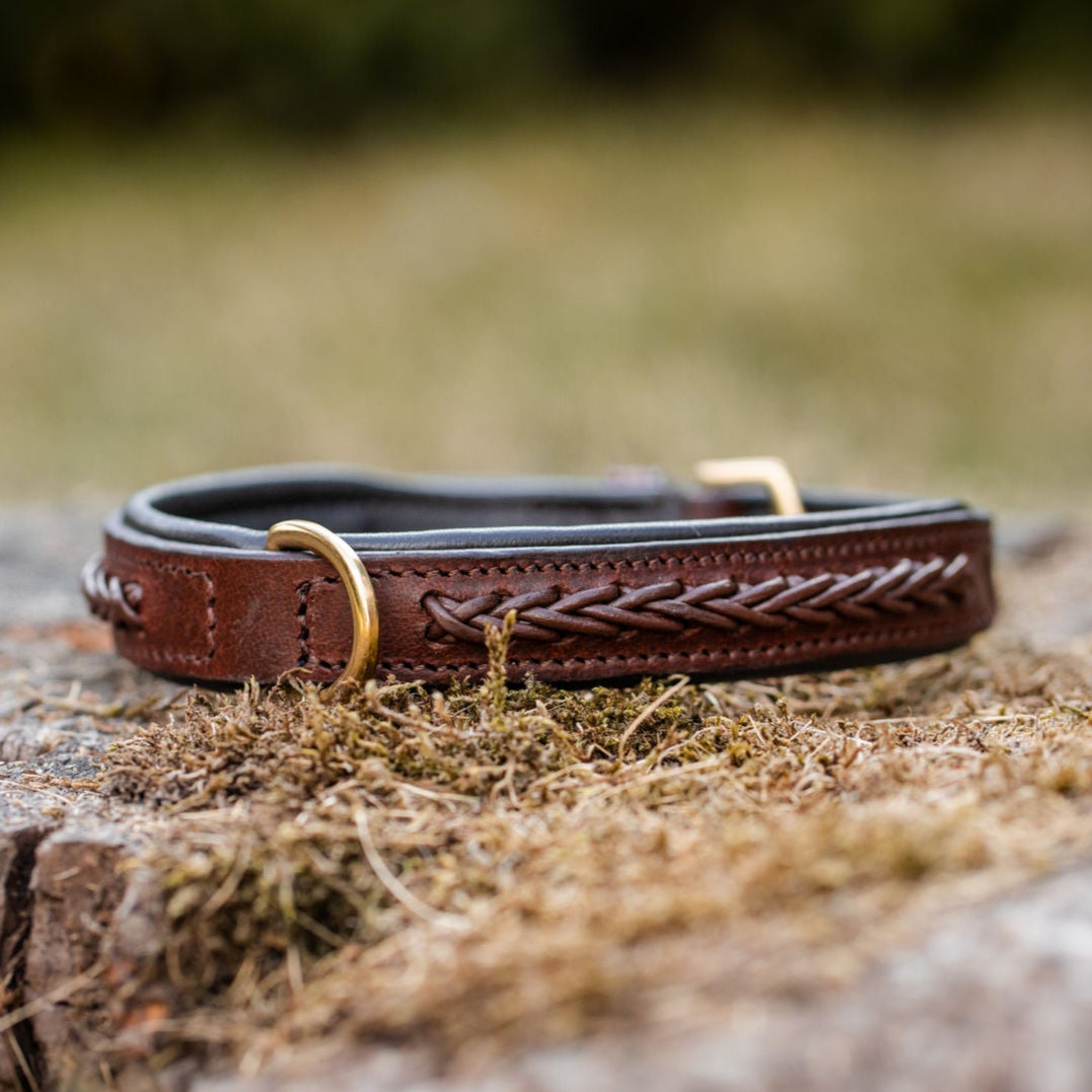 Leather dog collar with braided design