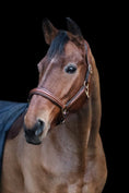 Load image into Gallery viewer, Leather halter with snake look