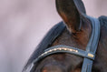 Load image into Gallery viewer, Shimmer Browband (No. 16)