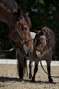 Load image into Gallery viewer, Leather halter with rhinestones inside for the little ones