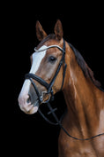 Bild in Galerie-Betrachter laden, Anatomische Softleder Trense Dublin schwarz mit silbernen Beschlägen von der Marke Ascot Reitsportartikel.