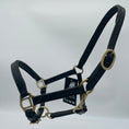 Load image into Gallery viewer, Schwarzes weich unterlegtes Lederhalfter für Fohlen von der Marke Ascot Reitsportartikel- pflanzlich gegerbt.