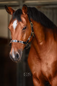 Load image into Gallery viewer, Leather halter in polo design
