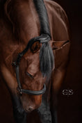 Load image into Gallery viewer, Leather halter with snake look