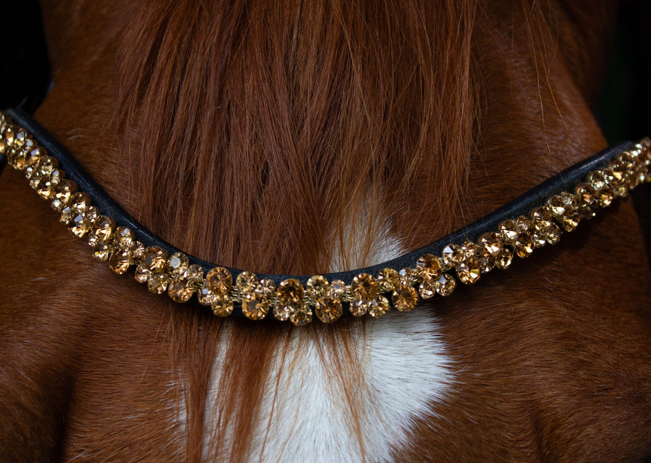 Strassstirnriemen mit goldenen Steinen, die Steine sind verschieden groß und unterschiedlich angebracht. Der Stirnriemen ist von der Marke Ascot Reitsportartikel getragen von einem fuchsfarbigem Pferd.