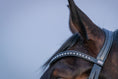 Load image into Gallery viewer, Noble Browband (No. 20.)
