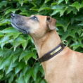 Load image into Gallery viewer, Braunes Lederhundehalsband mit individueller Gravurplatte..