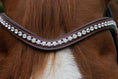 Load image into Gallery viewer, Cognac Stirnriemen Classic mit klaren Steinen von der Marke Ascot Reitsport.