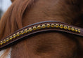 Load image into Gallery viewer, Cognac Stirnriemen Classic mit klaren Steinen von der Marke Ascot Reitsport.