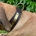 Load image into Gallery viewer, Braunes Lederhundehalsband mit individueller Gravurplatte.