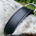 Load image into Gallery viewer, Schwarzes Lederhundehalsband aus pflanzlich gegerbtem Leder.