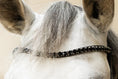 Load image into Gallery viewer, Browband with quick-change system