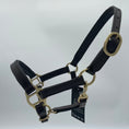 Load image into Gallery viewer, Dunkelbraunes weich unterlegtes Lederhalfter für Minifohlen von der Marke Ascot Reitsportartikel- pflanzlich gegerbt.