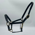 Load image into Gallery viewer, Schwarzes weich unterlegtes Lederhalfter für Shettys von der Marke Ascot Reitsportartikel- pflanzlich gegerbt.