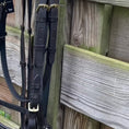 Load image into Gallery viewer, Backenstücke mit Schnalle - Ascot Reitsportbraun mit Messingbeschlägen1.2 cm (schmal)