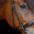 Load image into Gallery viewer, Backenstücke mit Schnalle - Ascot Reitsportbraun mit Messingbeschlägen1.5 cm (breit)