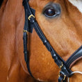 Load image into Gallery viewer, Backenstücke mit Schnalle - Ascot Reitsportschwarz mit Messingbeschlägen1.5 cm (breit)
