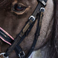 Load image into Gallery viewer, Backenstücke mit Zaumhaken - Ascot Reitsportschwarz mit silbernen Beschlägen1.2 cm (schmal)