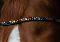 Load image into Gallery viewer, Brauner geschwungener Slim-Stirnriemen Lucky (Nr.107.) mit braun/ goldenen Steinen von der Marke Ascot Reitsportartikel.