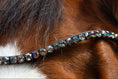 Load image into Gallery viewer, Brauner Stirnriemen Devine (Nr. 104.) mit funkelnden anthrazitfarbenen Strasssteinen von der Marke Ascot Reitsportartikel.