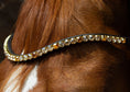 Load image into Gallery viewer, Brauner Stirnriemen Devine (Nr. 104.) mit funkelnden goldfarbenen Strasssteinen von der Marke Ascot Reitsportartikel.