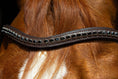 Load image into Gallery viewer, Brauner Lederstirnriemen Shine (Nr.110.) mit eingefassten 110.2 schwarzen Strasssteinen von der Marke Ascot Reitsportartikel.
