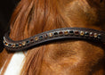 Load image into Gallery viewer, Brauner Lederstirnriemen Shine (Nr.110.) mit eingefassten braun/ goldenen Strasssteinen von der Marke Ascot Reitsportartikel.
