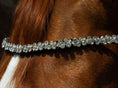 Load image into Gallery viewer, Brauner Stirnriemen Star (Nr. 101.) mit verschieden großen klaren Strasssteinen von der Marke Ascot Reitsportartikel.