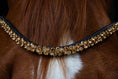 Load image into Gallery viewer, Brauner Stirnriemen Star (Nr. 101.) mit verschieden großen goldfarbenen Strasssteinen von der Marke Ascot Reitsportartikel.