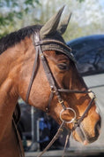 Load image into Gallery viewer, Dunkelbraune Eco Trense Mexikanisch mit Messingbeschlägen von der Marke Ascot Reitsportartikel.