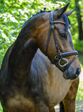 Load image into Gallery viewer, Eco Trense braun matt mit Messingbeschlägen von der Marke Ascot Reitsportartikel.