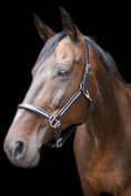 Load image into Gallery viewer, Lederhalfter mit eingefasstem Strass und Lack - Ascot Reitsportschwarz/ Lack/ silbener Strass