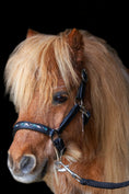 Load image into Gallery viewer, Lederhalfter mit innenliegenden Strasssteinen für Mini-Shettys schwarz/ aqua von der Marke Ascot Reitsportartikel.