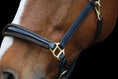 Load image into Gallery viewer, Lederhalfter Saint - Tropez - Ascot Reitsportschwarz/ goldene Steine/ Messingbeschläge