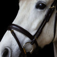 Load image into Gallery viewer, Nasenriemen beidseitig verschnallbar englisch - kombiniert - Ascot Reitsportbraun matt mit Messingbeschlägen