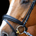 Load image into Gallery viewer, Nasenriemen beidseitig verschnallbar englisch - kombiniert - Ascot Reitsportschwarz matt mit silbernen Beschlägen