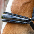 Load image into Gallery viewer, Nasenriemen Hannover beidseitig zu verschnallen - Ascot Reitsportschwarz lack/ schwarzer Strass mit silbernen Beschlägen